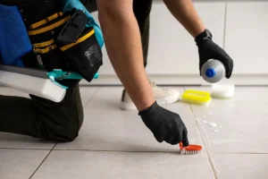 بيت جدة لخدمات النظافة | شركة مكافحة حشرات بالرياض بيت جدة لخدمات النظافة | شركة مكافحة حشرات بالرياض