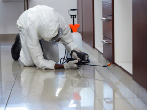 بيت جدة لخدمات النظافة | اسعار مكافحة الحشرات بالرياض بيت جدة لخدمات النظافة | اسعار مكافحة الحشرات بالرياض
